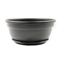 Cuia Vic com Prato Desli Preta - 28cm Cuia Vic com Prato Desli Preta - 28cm