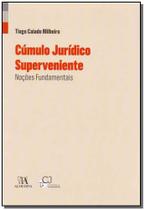 Cúmulo Jurídico Superveniente - Noções Fundamentais Sortido