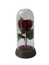 Cúpula Redoma Rosa Encantada A Bela e a Fera Média