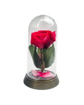 Cúpula Rosa Encantada A Bela E A Fera Base Ouro P Rosa Pink