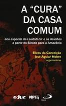 Cura da Casa Comum, A: Ano Especial da Laudato Si e os Desafios a Partir