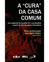 Cura da Casa Comum, A: Ano Especial da Laudato Si e os Desafios a Partir