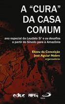 Cura da casa comum, a