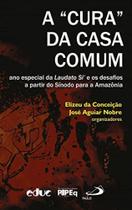 Cura da casa comum, a Cura da casa comum, a