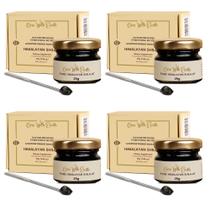 Cura de resina Shilajit com terra pura do Himalaia 100g x 4 Cura de resina Shilajit com terra pura do Himalaia 100g x 4