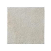 Curativo espuma biatain aginato 15x15 (3715) - Coloplast