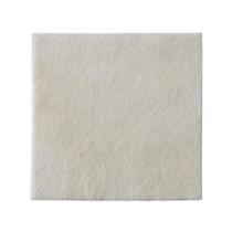 Curativo espuma biatain alginato 10x10 (3710) - Coloplast