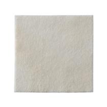 Curativo Espuma Biatain Alginato 10x10 (3710) - Coloplast