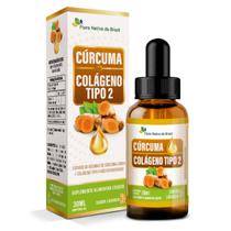 Cúrcuma + Colágeno Tipo 2 30ml Sabor Laranja Flora Nativa Cúrcuma + Colágeno Tipo 2 30ml Sabor Laranja Flora Nativa