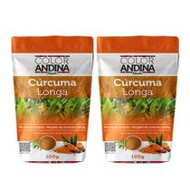 Curcuma pura Color Andina 100g - 2 pacotes - COLOR ANDINA FOODS Curcuma pura Color Andina 100g - 2 pacotes - COLOR ANDINA FOODS