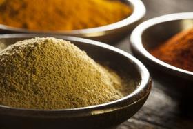 Curry Tempero 1kg