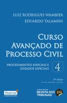 Curso Avançado de Processo Civil - Procedimentos Especiais e Juizados Especiais Vol. 4 - 19ª Edição