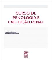 Curso de penologia e execução penal - EMPORIO DO DIREITO (TIRANT)