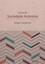 Curso de sociedade anônima