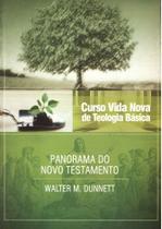 Curso Vida Nova de Teologia Básica - Panorama do Novo Testamento Volume 3 - Vida Nova