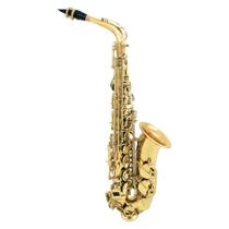 Custom ALS11 Saxofone Alto Laqueado Eb Mib + Estojo + Acessórios