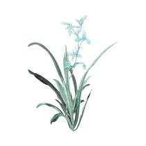 Cymbidium Bordado Ferro Em Patch 1 Peça DIY Roupas Saco Decoração Aplique