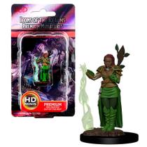 D&D Icons of the Realms Premium Figures Human Female Druid