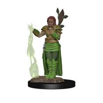 D&D: Icons of the Realms - Premium Figures - Human Female Druid, Galápagos Jogos, White