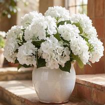 Daynight 4 Peças de Flores Artificiais de Hortênsia Branca com Proteção UV Daynight 4 Peças de Flores Artificiais de Hortênsia Branca com Proteção UV