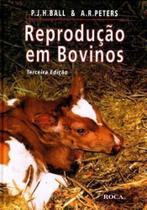 De que sao feitas as mulheres - IDEA EDITORA