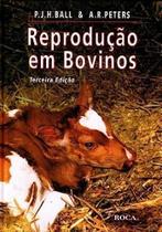 De Que São Feitas as Mulheres De Que São Feitas as Mulheres