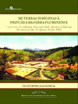 De Terras Indígenas À Princesa da Serra Fluminense: o Processo de Realização da Propriedade Cafeeira