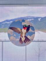 Decalques de porta com tela The Decal Empire Hummingbird Set x6