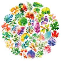 Decalques de vinil e adesivos, 50 unidades, folhas coloridas, Aesthetic Plant Decalques de vinil e adesivos, 50 unidades, folhas coloridas, Aesthetic Plant