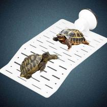 Deck Para Aquaterrário Tartarugas Pet C/ Ventosa 9x16cm Gt-350