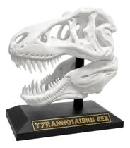Decoração Cabeça De Dinossauro Esqueleto 3d Enfeite Decoração Cabeça De Dinossauro Esqueleto 3d Enfeite
