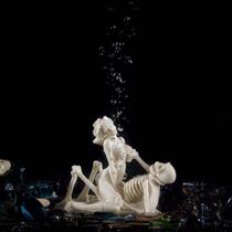 Decoração de aquário Carefree Fish Skeleton King and Queen Bubbler