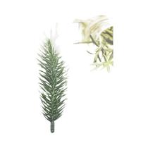 Decoração De Árvore De Natal Com Agulhas De Pinheiro Artificiais Em Forma De Floco De Neve 510 Peças Decoração De Árvore De Natal Com Agulhas De Pinheiro Artificiais Em Forma De Floco De Neve 510 Peças