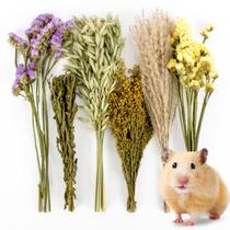 Decoração de cama para hamster com ervas e flores naturais Sukh, 42 peças Decoração de cama para hamster com ervas e flores naturais Sukh, 42 peças