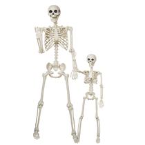 Decoração de esqueleto de Halloween Breesky de 165 cm e 90 cm de plástico Decoração de esqueleto de Halloween Breesky de 165 cm e 90 cm de plástico