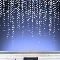 Decoração de festa iridescente Confetti Garlands Cheerland 10 pés x 10 Decoração de festa iridescente Confetti Garlands Cheerland 10 pés x 10