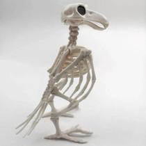 Decoração De Halloween: Corvo Esqueleto De Plástico, Adereço De Animal, Esqueleto De Pássaro Corvo Decoração De Halloween: Corvo Esqueleto De Plástico, Adereço De Animal, Esqueleto De Pássaro Corvo