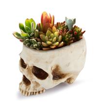 Decoração de Halloween em forma de caveira em forma de caveira de vaso de flores 15x15x20cm 600g
