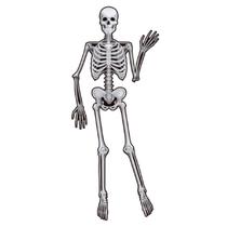 Decoração de Halloween Esqueleto para Pendurar