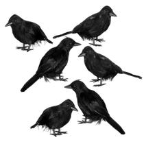 Decoração de Halloween JOYIN Crow Raven 6 peças para ambientes internos/externos Decoração de Halloween JOYIN Crow Raven 6 peças para ambientes internos/externos