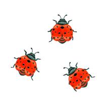 Decoração De Parede Em Metal Colorido Em Forma De Joaninha, 3 Peças, Decoração De Jardim, Móveis Decoração De Parede Em Metal Colorido Em Forma De Joaninha, 3 Peças, Decoração De Jardim, Móveis