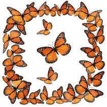 Decoração de parede Monarch Butterfly Halloween 48 unidades Decoração de parede Monarch Butterfly Halloween 48 unidades