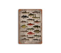 Decoração de parede Placa de lata Vintage Fish Species Chart Iron 20x30cm Decoração de parede Placa de lata Vintage Fish Species Chart Iron 20x30cm