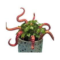 Decoração De Resina Para Plantas Em Forma De Polvo, Conjunto De 7 Peças Para Vaso De Flores