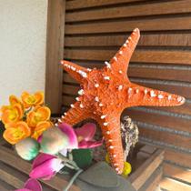 Decoração Fundo Do Mar Resina Estrela Tartaruga Caranguejo Decoração Fundo Do Mar Resina Estrela Tartaruga Caranguejo