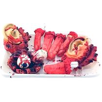Decoração Halloween Com Sangue Bandeja com Órgãos Falsos Realistas Dedos Decepados Orelhas e Olhos Terror Decoração Halloween Com Sangue Bandeja com Órgãos Falsos Realistas Dedos Decepados Orelhas e Olhos Terror