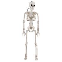 Decoração Halloween Esqueleto Articulado 40cm - Apollo Festas