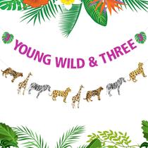 Decorações de aniversário Funmemoir Young Wild & Three Girls