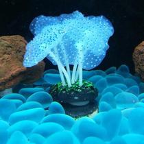 Decorações De Aquário De Silicone Luminoso Colorido Coral Fluorescente Anêmona Marinha Cenário De