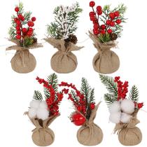 Decorações de mesa de Natal winemana Mini Trees x6 20cm